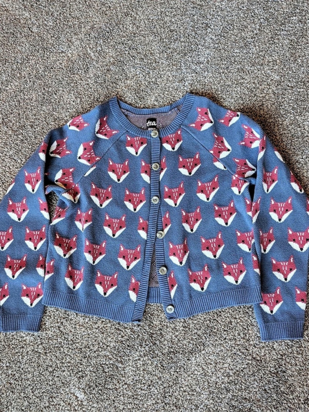 Tea Collection Family Fox Cardigan Blue & Red Girls XL 12-14